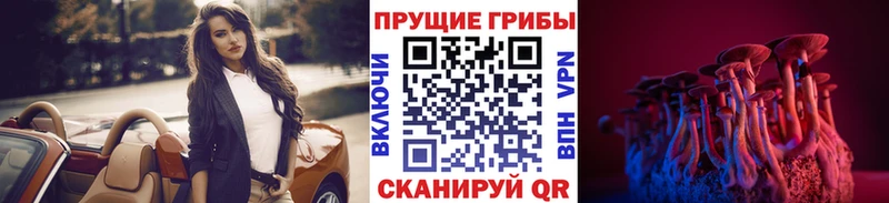 Псилоцибиновые грибы Psilocybine cubensis  Ак-Довурак 